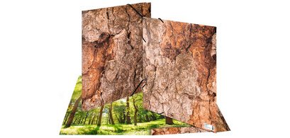 Chemise à élastiques 'Nature', A3, carton, Wood