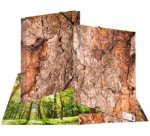 Chemise à élastiques 'Nature', A4, carton, Wood