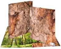 Chemise à élastiques 'Nature', A4, carton, Wood