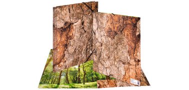 Chemise à élastiques 'Nature', A4, carton, Wood