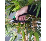 Ciseaux de jardin multifonction, (L)205 mm