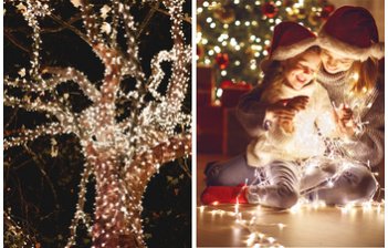 Sapins et décorations de Noël