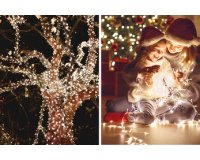 Jamasia Guirlande lumineuse LED, 400 ampoules, IP 44, vert