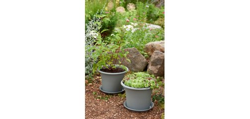 Soucoupe BOTANICA, diamètre: 380 mm, gris