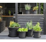 Round Botanica Flower Pot