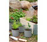 Pot de fleur Cultivate Orthex