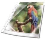 Pochette perforée PREMIUM, A4, PP, bord blanc