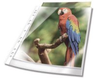 Pochette perforée PREMIUM, A4, PP, bord blanc