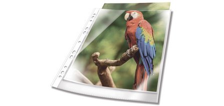 Pochette perforée PREMIUM, A4, PP, bord blanc