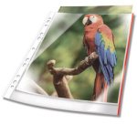 Pochette perforée PREMIUM, A4, PP, bord blanc