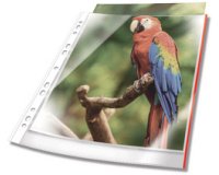 Pochette perforée PREMIUM, A4, PP, bord blanc