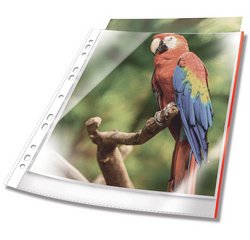 Pochette perforée PREMIUM, A4, PP, bord blanc