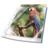 Pochette perforée PREMIUM, A4, PP, bord blanc