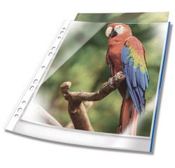 DURTABLE Pochette perforée PREMIUM, A4, PP, bordure blanche