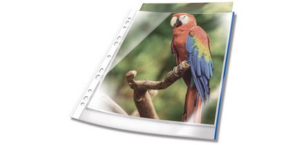 Geperforeerde hoesjes Durable PREMIUM A4 PP gekleurde rand