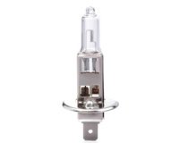 Ampoule halogène H1 pour phare, 12 V, 55 watts