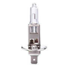 Ampoule halogène H1 pour phare, 12 V, 55 watts