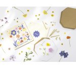 Presse à fleurs 'Flower Press', (L)145 x (P)145 mm