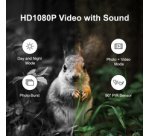 Caméra pour la faune avec vue nocturne
