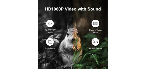 Caméra pour la faune avec vue nocturne