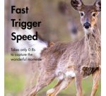 Caméra pour la faune avec vue nocturne