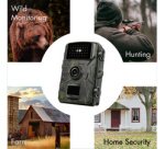 Caméra pour la faune avec vue nocturne