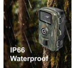 Caméra pour la faune avec vue nocturne