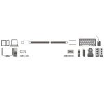Câble adaptateur USB 3.2, USB-C mâle USB-A femelle