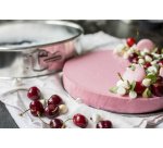 Moule à manqué, en fer blanc, 270 mm, argent