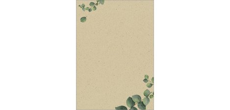 Papier design, papier 'Eucalyptus', A4, 100 g/m2