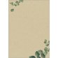 Papier design, papier 'Eucalyptus', A4, 100 g/m2