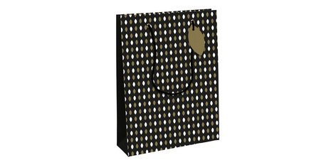 Paq.25 sacs kraft lisse, 22x10x27cm,Argt - Argent