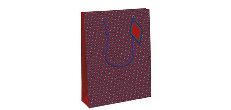Geschenktas 'geometrisch' groot