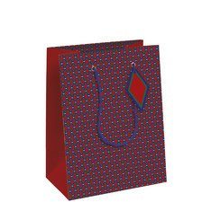 Sac cadeau 'Géométrique', moyen