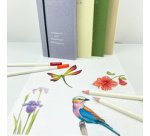 Crayons de couleur IROJITEN 'Volume 2', set de 10