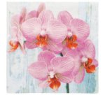 Serviette à motif 'Phalaenopsis', 330 x 330 mm