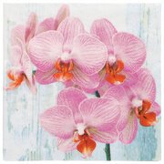 Serviette à motif 'Phalaenopsis', 330 x 330 mm