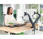 Bras double Ergo Dual, longueur: 453 mm