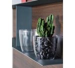 Pot de fleurs 'Madeira 22', transparent