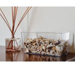 Pot de fleurs 'Coimbra 30', transparent