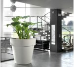 Pot de fleurs 'Standard One 50', antracite