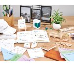 Imprimante mobile e-mark go kit de démarrage, blanc