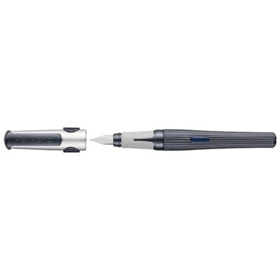 Vulpen o structure P481L