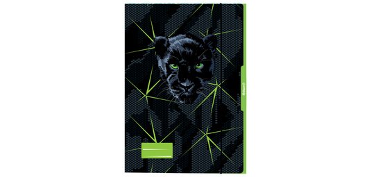 Chemise à rabat 'monde aquatique', A3