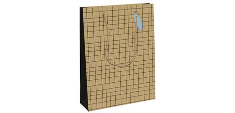 Sac cadeau 'Minimalist', large