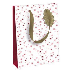 Sac cadeau de Noël 'Pomme d'amour', moyen