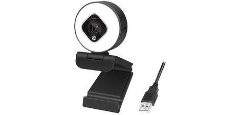 USB-Webcam Full HD mit zwei Mikrofonen, schwarz