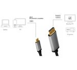 Câble USB, fiche mâle USB-C-mâle DP, 1,8 m