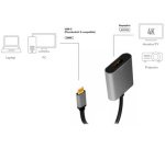 Câble adaptateur USB-C - Displayport, noir/gris