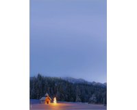 Papier à motif de Noël 'Green Christmas', A4